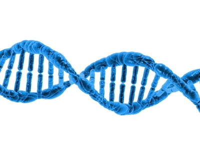 Adiposità localizzate e genetica